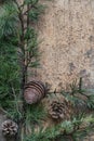 Christmas background with pine tree branches and cones on vertical wooden surface Royalty Free Stock Photo