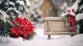 Christmas background with poinsettia flower and wooden sign. Royalty Free Stock Photo