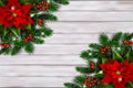 Christmas background with poinsettia. Vector. Royalty Free Stock Photo