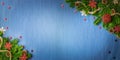 Christmas background with red balls, pine cones, gold tinsel and snowflake on a blue background Royalty Free Stock Photo