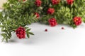 Christmas background with Red Kokina Flower.