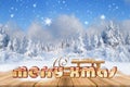 Christmas background with snowed fir trees and snowfall