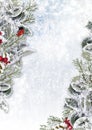 Christmas background with snowy branches and bullfinch