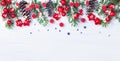 Christmas background with snowy fir branches, cones and red berry. Banner format Royalty Free Stock Photo