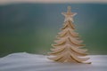 Christmas background with snowy fir trees. Snow Covered Christmas Tree stands out brightly against blurred nature background. Outd Royalty Free Stock Photo