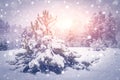 Christmas background. Snowy trees in forest on bright sunrise. Shining snowflakes fall on winter nature. Royalty Free Stock Photo