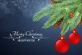 Christmas background with text. Merry Christmas and Happy New Year. Snowy berries, fur tree, cones on a dark background. Red Chris Royalty Free Stock Photo