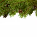 Christmas tree branches border on a white background Royalty Free Stock Photo