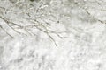 Christmas background with tree branches covered with snow. Snowy winter background Royalty Free Stock Photo