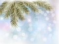 Christmas background with tree branches and snowfl