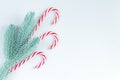 Christmas background with tree and traditional candycanes top view