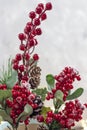 Christmas background with Christmas trees and gifts. Christmas card. Festive Christmas card.