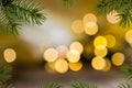 Christmas Background with Twig Royalty Free Stock Photo