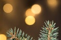Christmas background with twig Royalty Free Stock Photo