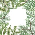 Christmas background. Watercolor conifer branches