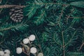 Christmas background of wild fir tree branches, holy plant, pinecones. snowberries