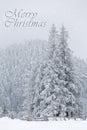 Christmas background with winter mountain covered in snow. Heavy snow fall on pine trees Royalty Free Stock Photo