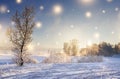 Christmas background. Winter nature landscape on sunny morning with magic glowing snowflakes. Shine of lights on Xmas