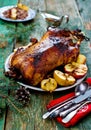 The Christmas baked goose with apples