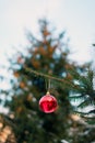 a Christmas ball on a branch of a fir tree. a branch of a fir tree with a Christmas toy on a blurry background is a New Royalty Free Stock Photo