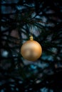 a Christmas ball on a branch of a fir tree. a branch of a fir tree with a Christmas toy on a blurry background is a New Royalty Free Stock Photo