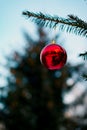 a Christmas ball on a branch of a fir tree. a branch of a fir tree with a Christmas toy on a blurry background is a New Royalty Free Stock Photo