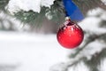 Christmas ball on the branches fir. Royalty Free Stock Photo