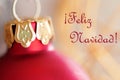 Christmas Ball Decoration with Feliz Navidad