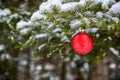 Christmas Ball Decoration Hanging off a Tree Royalty Free Stock Photo