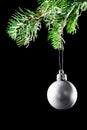 Christmas ball. Decoration xmas tree Royalty Free Stock Photo