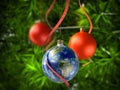 Christmas ball Globe on Christmas tree Royalty Free Stock Photo