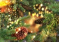 Christmas ball gold confetti  green  tree branch with garland light pine cones blurred festive light  in winter  holiday city deco Royalty Free Stock Photo