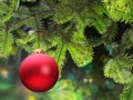Christmas ball and green spruce branch