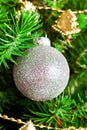 Christmas ball and green spruce branch