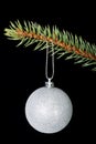 Christmas ball handing on a fir. Royalty Free Stock Photo