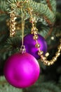 Christmas ball handing on a tree. Royalty Free Stock Photo