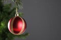 Christmas ball hanged on a christmas tree branch with copy space on grey background