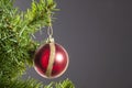 Christmas ball hanged on a christmas tree branch with copy space on grey background Royalty Free Stock Photo