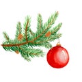 Christmas Ball hanging on a Fir Tree Branch. Christmas Background. Royalty Free Stock Photo