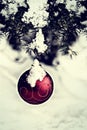 Christmas Ball Hanging on a Spruce Tree - Retro Royalty Free Stock Photo