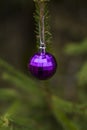 Christmas ball on the tree