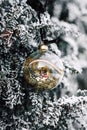 A Christmas ball on a snow-covered christmas tree. Winter Day Royalty Free Stock Photo