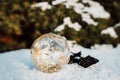 A Christmas ball on a snow-covered christmas tree. Winter Day Royalty Free Stock Photo