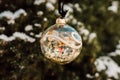 A Christmas ball on a snow-covered christmas tree. Winter Day Royalty Free Stock Photo