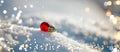 Christmas ball on snow. Royalty Free Stock Photo