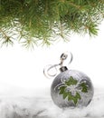 Christmas ball and spruce branch