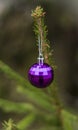 Christmas ball on the tree