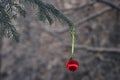 Christmas ball in a winter forest