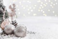 Christmas balls and fir branches with snow against a Blurred background