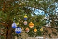 Christmas balls hanging on pine branches covered with snow Royalty Free Stock Photo